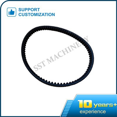 Serpentine Belt Engine